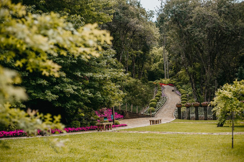 Garden park gramado grama e trilha
