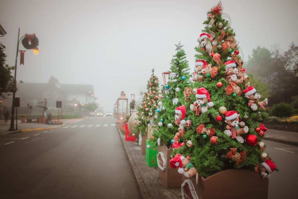 Pinheiros na Borges de Medeiros Natal Luz Gramado