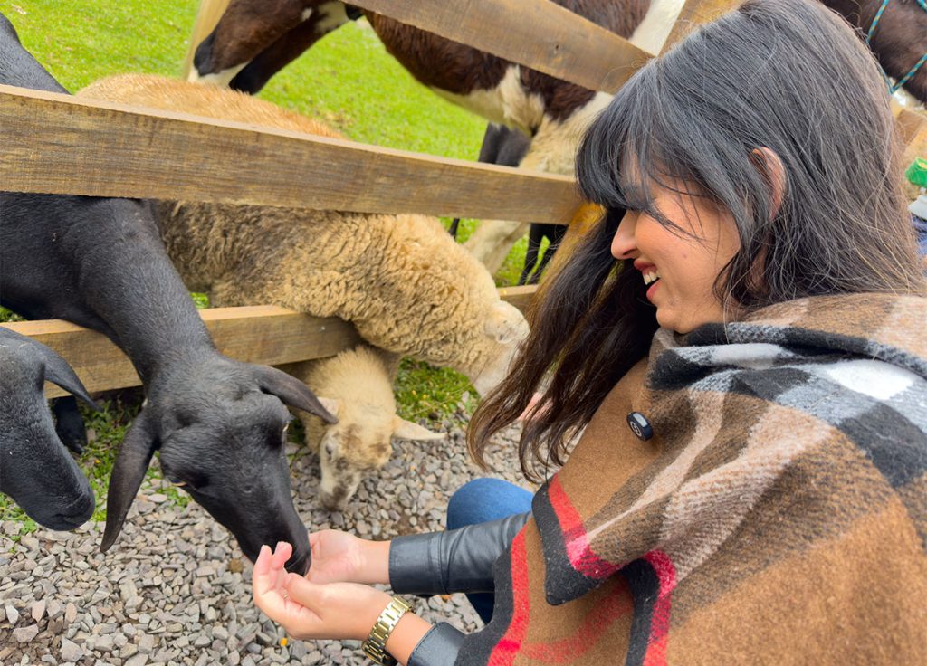 WoodStone Hotel Gramado: 7 experiências de fazenda 3 Alessandra do Aventurando Tchê alimentando cabras e ovelhas no woodstone hotel