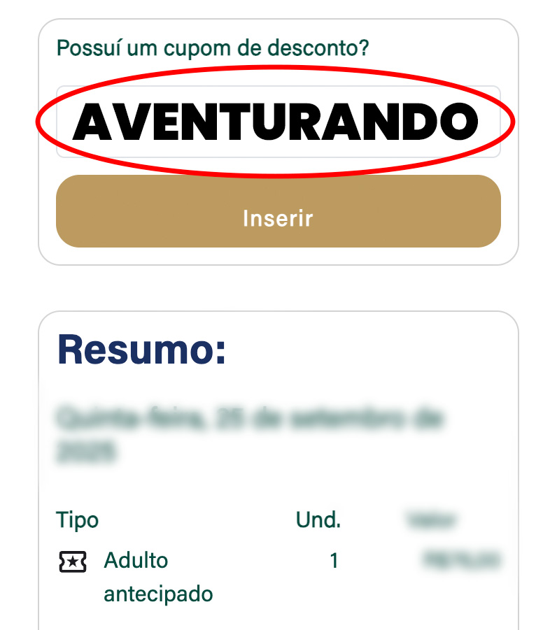 Roda gigante Canela: 5% de desconto no site oficial 11 cupom roda gigante canela