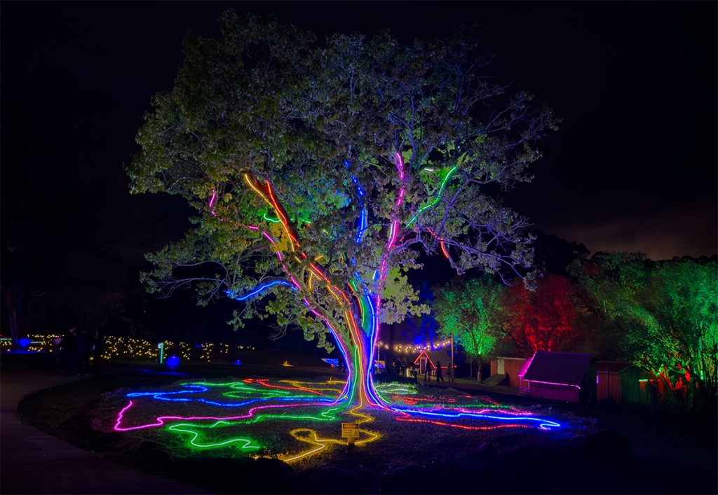 Lumni arvore iluminada